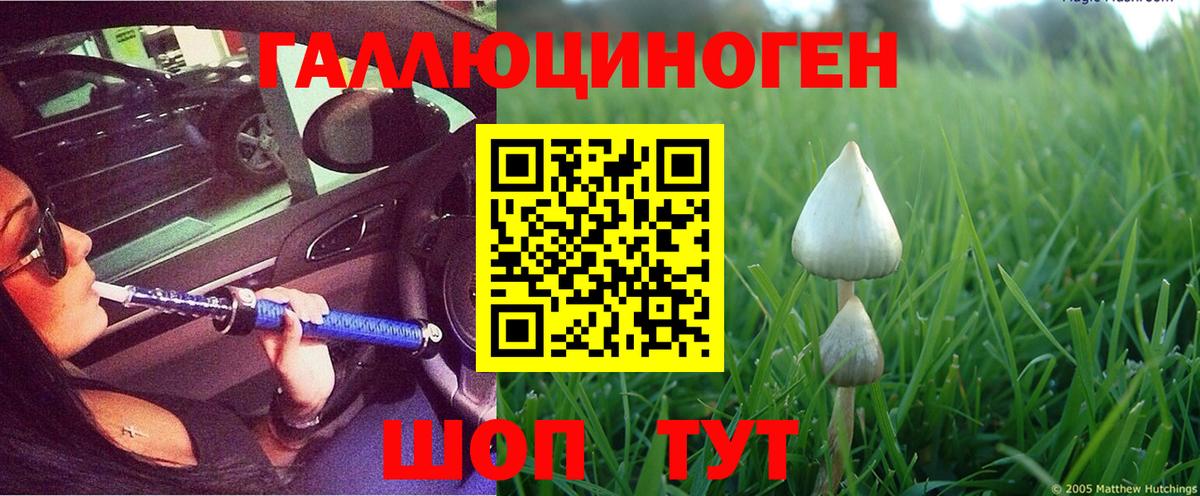 Шуя  Галлюциногенные грибы MAGIC MUSHROOMS  Вход с VPN 
