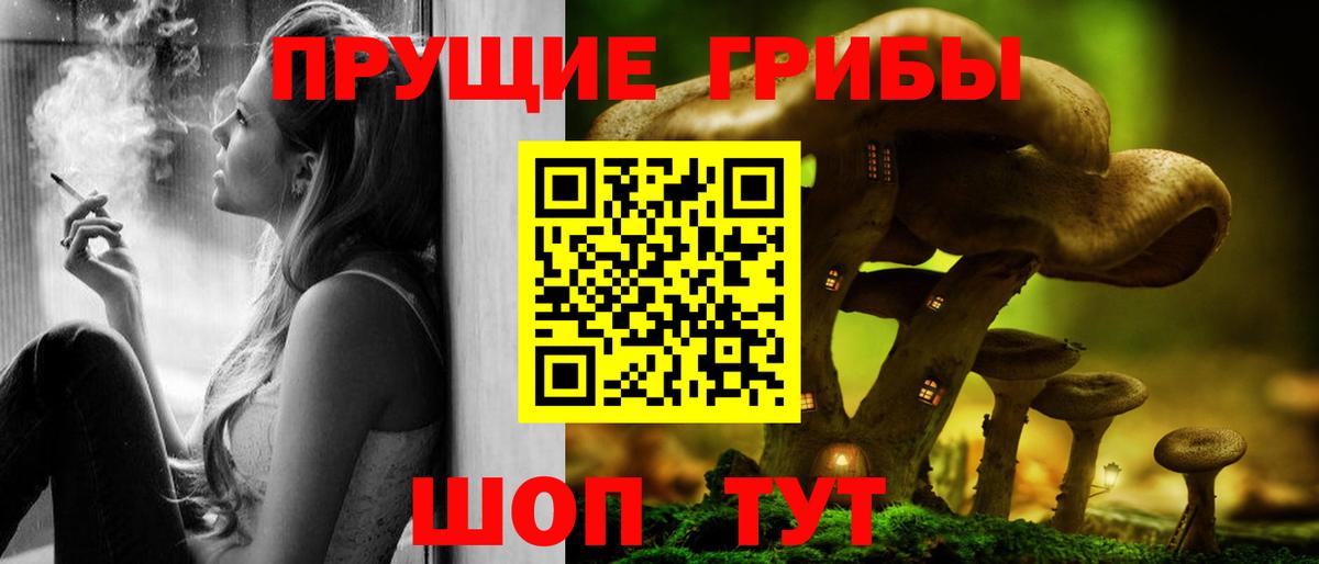 Псилоцибиновые грибы Psilocybe Шуя
